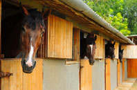 free Albury End stable construction quotes